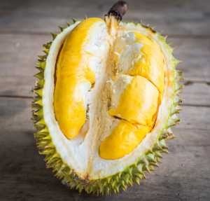 durian