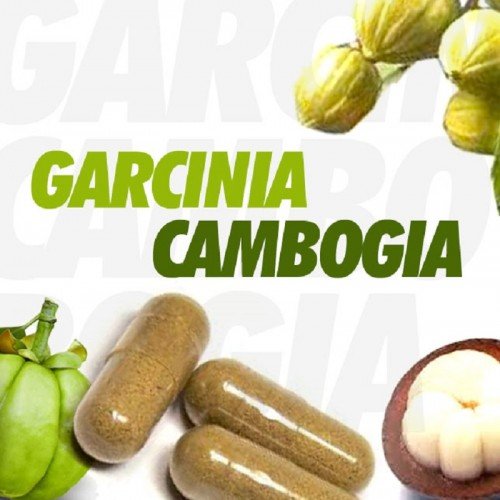 Integratori a base di garcinia cambogia