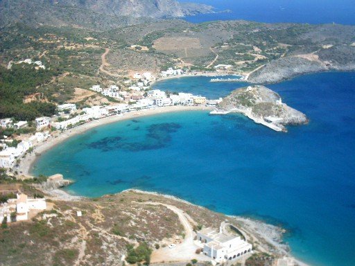 Citera