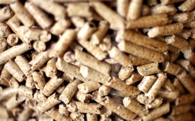 Stufe a pellet Nordica, alto rendimento e risparmio energetico