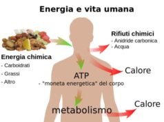 accelerare il metabolismo naturalmente