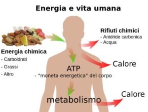 accelerare il metabolismo naturalmente