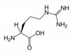 Arginina dosaggio giornaliero e utilizzo