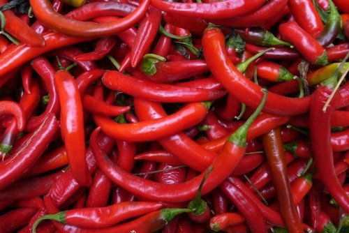 chili-pepper