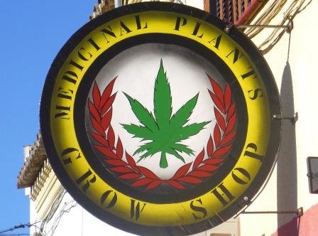 come aprire un Growshop per vendere marijuana light legale