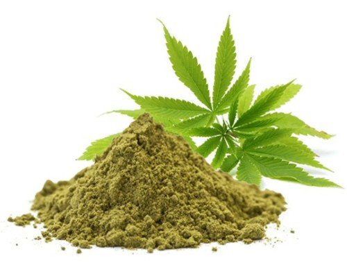 erba legale in italia dove comprare