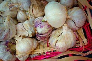 garlic-1522739_960_720