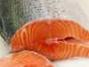 salmone