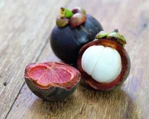 mangosteen