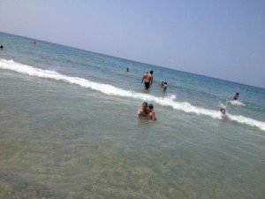 mare
