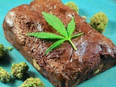6 ricette alla marijuana per preprarare Brownies, olio e biscotti