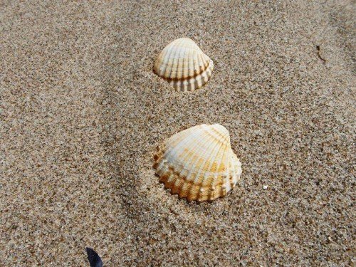 marina di ginosa spiaggia dorata