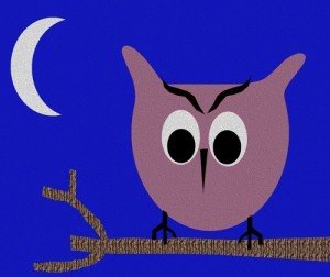 gufo, animale e umano notturno