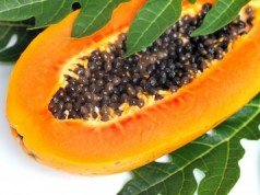 Papaya: 10 benefici per la salute che non ti aspettavi papaya