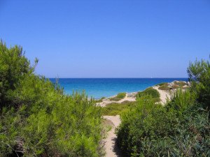 pineta-baia-verde