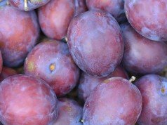 Stitichezza: sintomi, cause e rimedi Stitichezza