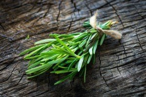 il rosmarino è un ottimo antidolorificio naturale Rosmarino antidolorifico naturale